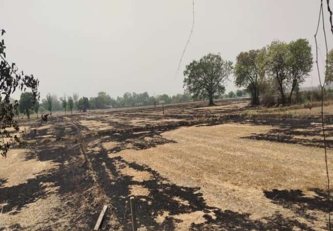 Delhi's breath will be suffocated again, amidst increasing pollution, stubble started burning again in the capital