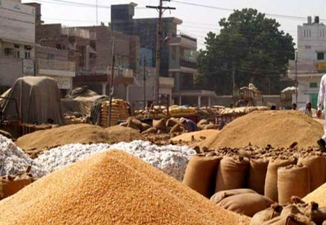 Wheat is not procured even one percent in 28 districts of UP, only four districts buy 10 percent more than the target